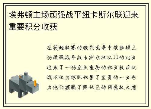 埃弗顿主场顽强战平纽卡斯尔联迎来重要积分收获